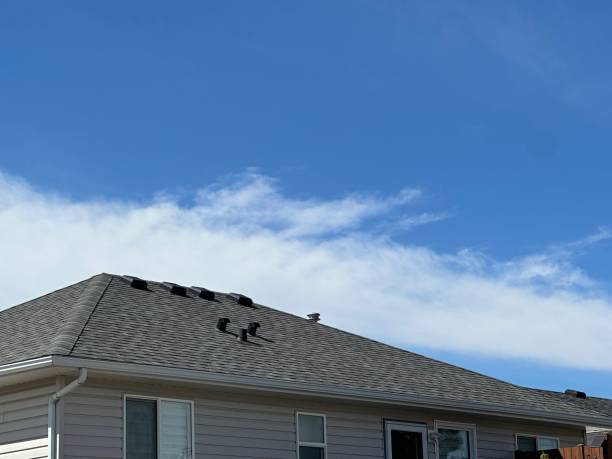Best Solar Panel Roofing Installation  in Irwindale, CA